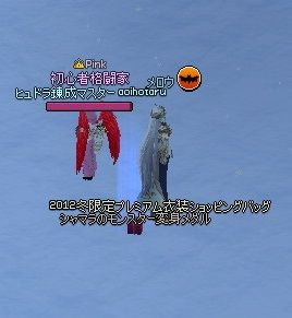 mabinogi_2014_01_09_068