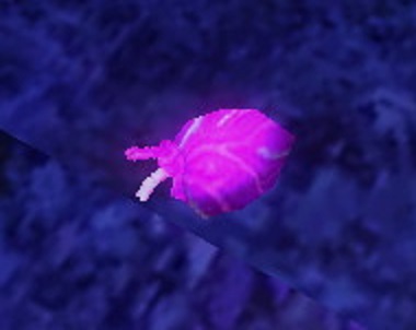 mabinogi_2014_12_08_013