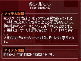 アイテム属性に召喚時間が表示される