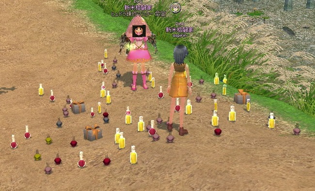 mabinogi_2014_05_02_013