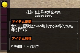 mabinogi_2014_11_12_033