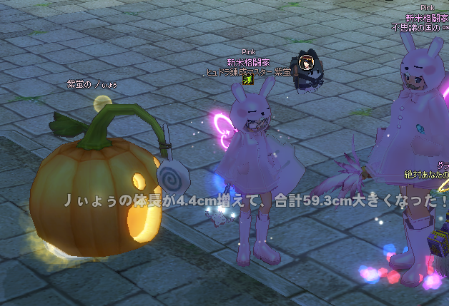 mabinogi_2022_02_17_164521