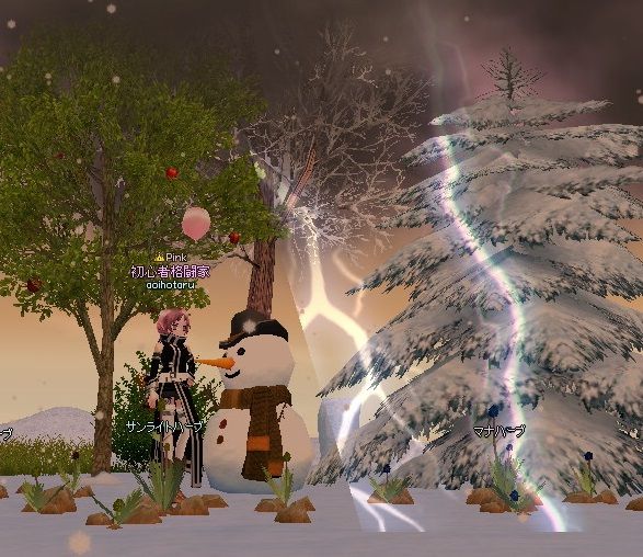 mabinogi_2013_10_27_011