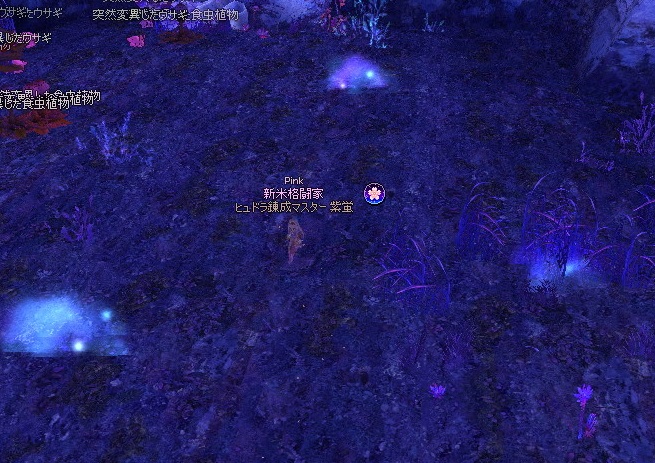 mabinogi_2016_03_26_002