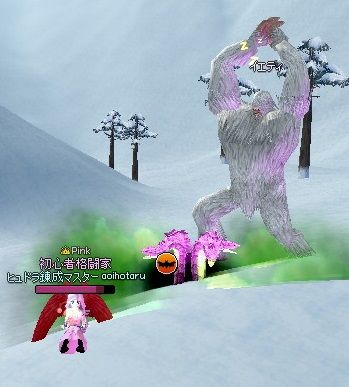 mabinogi_2014_01_09_076