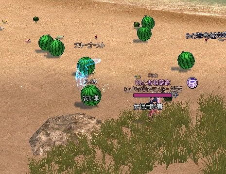 mabinogi_2016_07_20_019