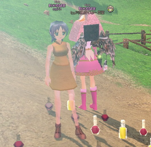 mabinogi_2014_05_02_014