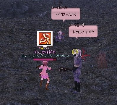 mabinogi_2013_11_11_027