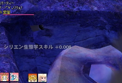 シリエンの壁の模様2