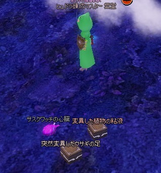 mabinogi_2014_12_08_010