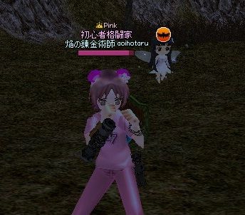 mabinogi_2013_11_26_041