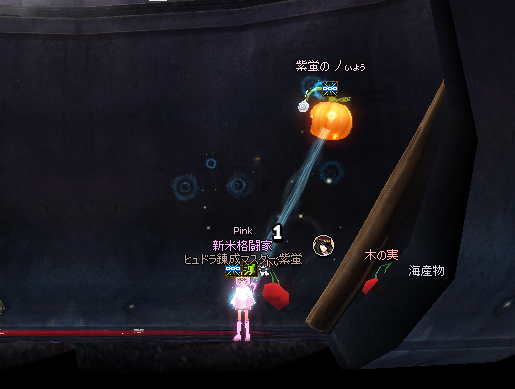 mabinogi_2022_02_17_172512