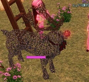 mabinogi_2013_12_30_017