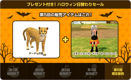 info_nexon_05CheetahKawa