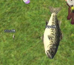 mabinogi_2013_08_28_015