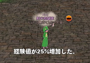 mabinogi_2014_11_13_004