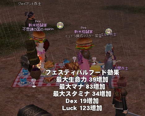 mabinogi_2014_04_28_006