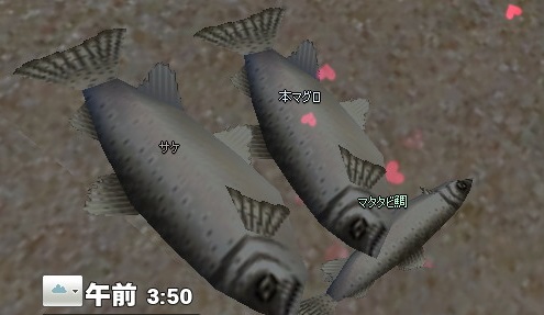 mabinogi_2014_08_12_117