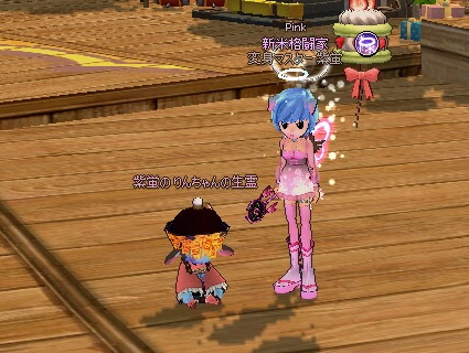 mabinogi_2017_01_11_049