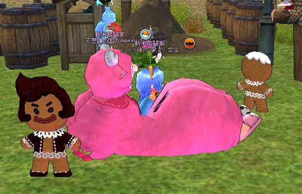 mabinogi_2015_02_25_019