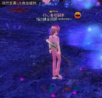 mabinogi_2013_11_27_008