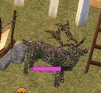 mabinogi_2013_12_30_012