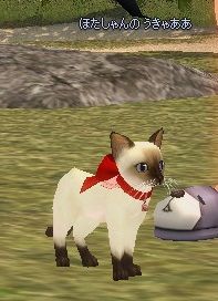 mabinogi_2014_02_26_008
