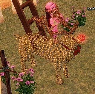 mabinogi_2013_12_30_018