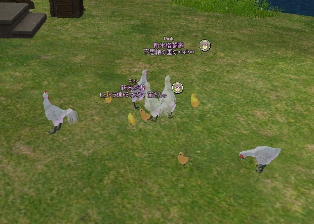mabinogi_2015_01_20_005