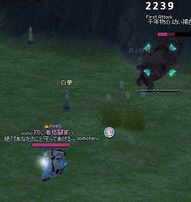 mabinogi_2013_10_05_013