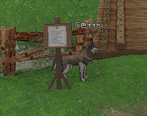 引っかかるオオカミ