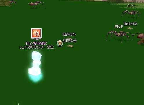 mabinogi_2016_10_22_010