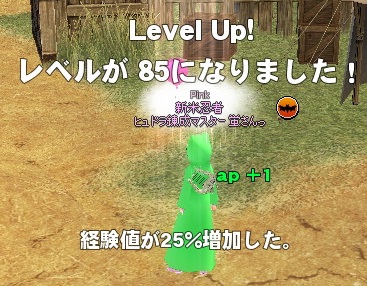 mabinogi_2014_11_28_006