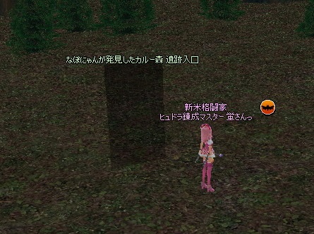 mabinogi_2014_12_11_004