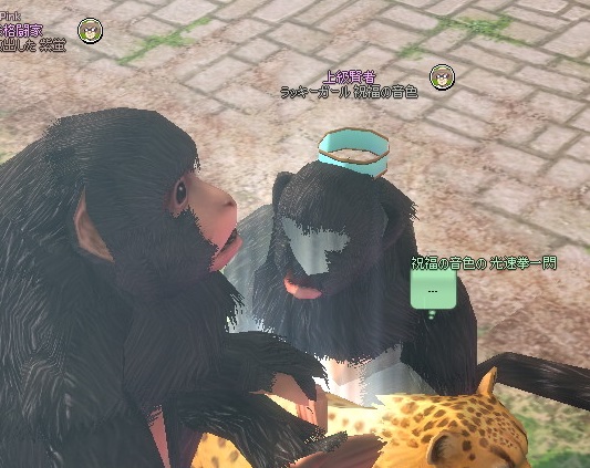 mabinogi_2014_03_18_042