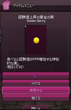 mabinogi_2014_11_13_003