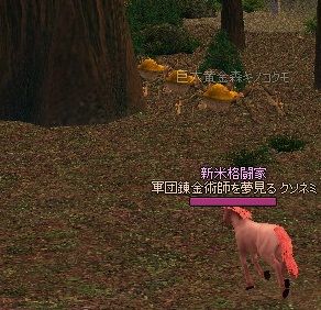 mabinogi_2014_02_11_066