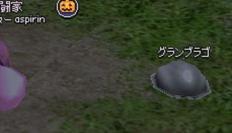 efe97bd2.jpg