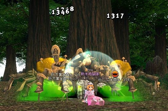 mabinogi_2014_01_13_035