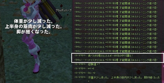mabinogi_2014_01_28_038