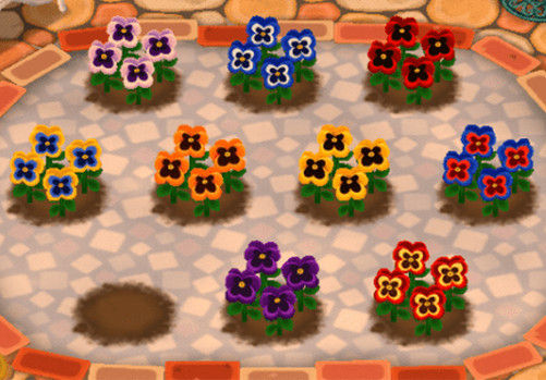 ポケ森 パンジーを効率良く全色交配する方法 手順はコチラです どうぶつの森ポケットキャンプ攻略ガイドブック ポケ森まとめ ポケ森 パンジーを効率良く全色交配する方法 手順はコチラです どうぶつの森ポケットキャンプ攻略ガイドブック ポケ森まとめ