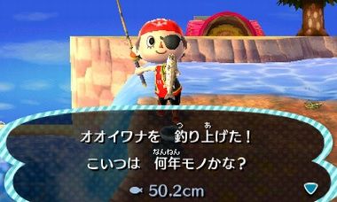 画像あり どうぶつの森で嫌いなサカナｗｗｗｗ もちろん アイツ でしたｗｗｗｗｗ どうぶつの森ポケットキャンプ攻略ガイドブック ポケ森まとめ