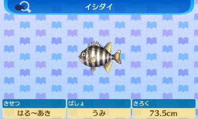 画像あり どうぶつの森で嫌いなサカナｗｗｗｗ もちろん アイツ でしたｗｗｗｗｗ どうぶつの森ポケットキャンプ攻略ガイドブック ポケ森まとめ