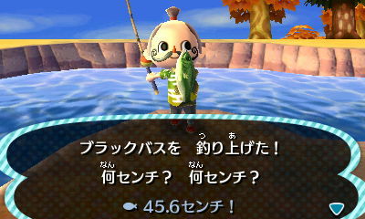 画像あり どうぶつの森で嫌いなサカナｗｗｗｗ もちろん アイツ でしたｗｗｗｗｗ どうぶつの森ポケットキャンプ攻略ガイドブック ポケ森まとめ