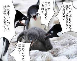 カップリング