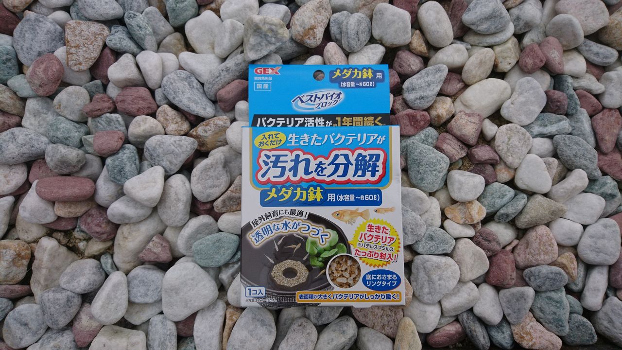 ビオトープの水 黄色く濁る 屋上庭園のある家 アイフルホームでマイホーム計画 ビオトープの水 黄色く濁る 屋上庭園のある家 アイフルホームでマイホーム計画