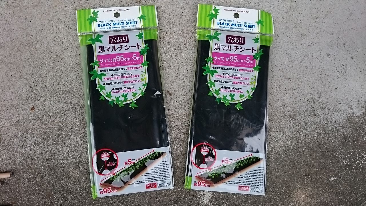 3 15収穫と定植の準備 気ままに野菜生活 3 15収穫と定植の準備 気ままに野菜生活