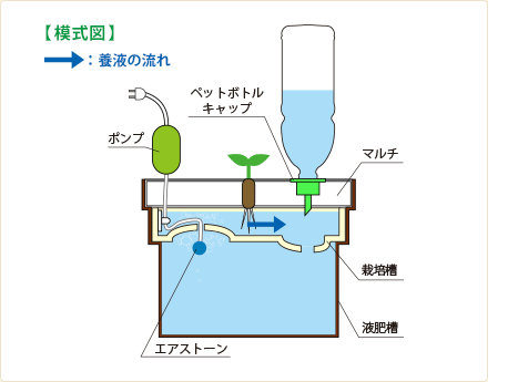 ホームハイポニカぷくぷくまとめ 気ままに野菜生活