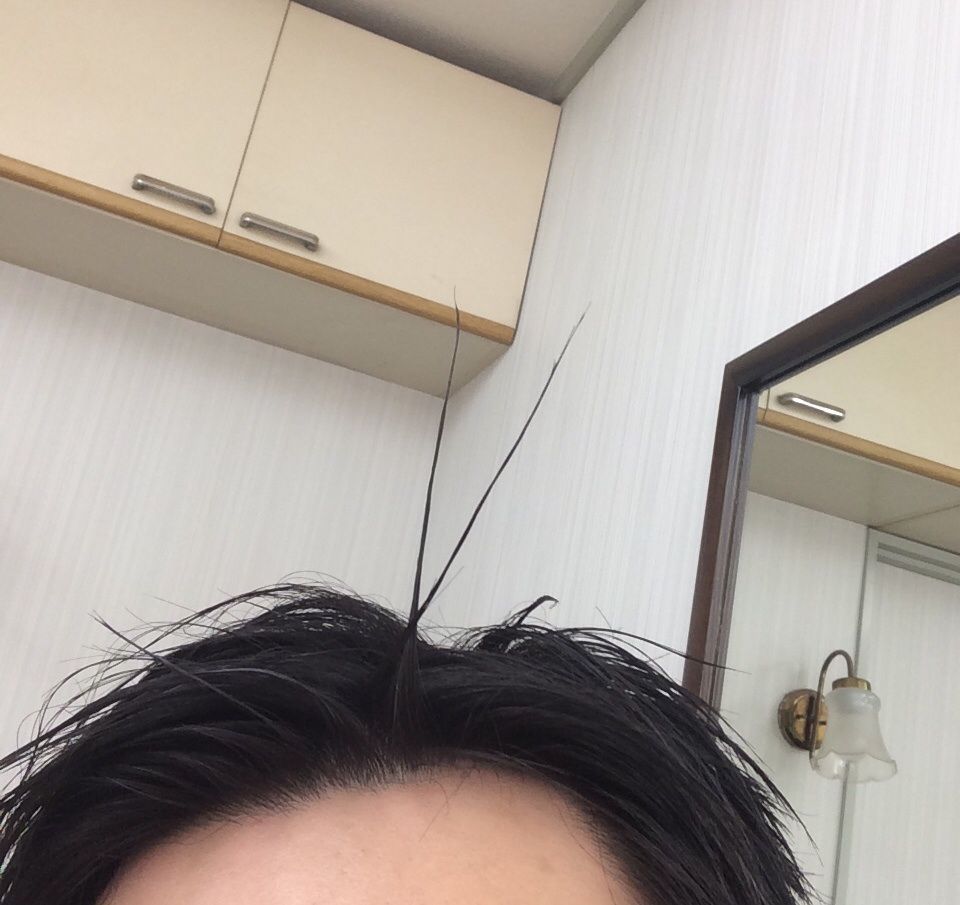 最近髪を伸ばしています これがとんでもなく苦痛です 髪を切りたい いや我慢 府中調布のbarber 短髪 メンズショートが得意 Tashiro Mix Hair 武蔵野台白糸台 最近髪を伸ばしています これがとんでもなく苦痛です 髪を切りたい いや我慢 府中調布のbarber 短髪 メンズショートが得意 Tashiro Mix Hair 武蔵野台白糸台