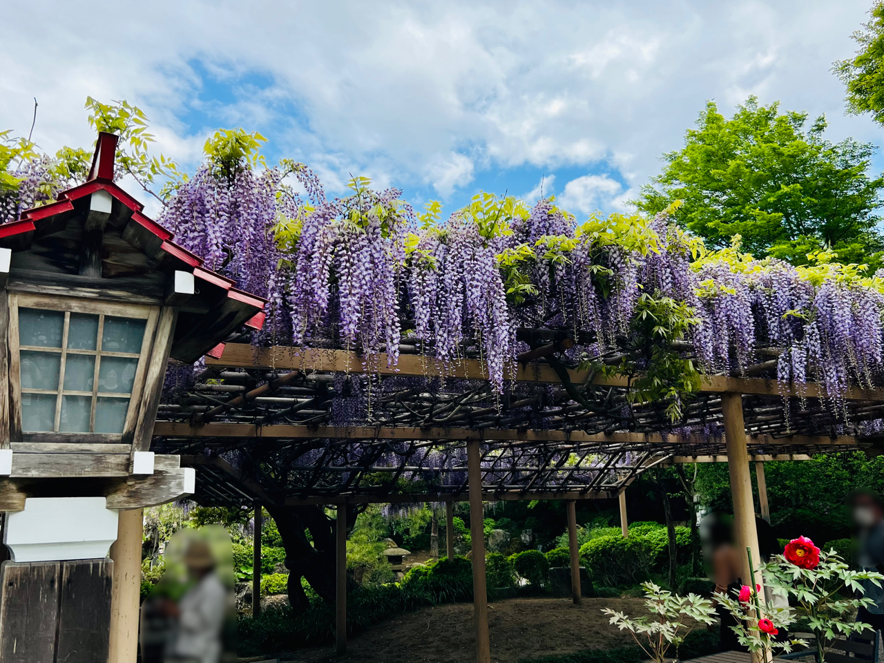 翼tasku Official Blog